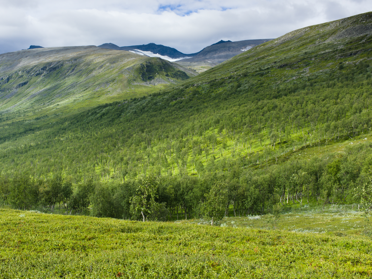 Vássjá, Sarek National Park