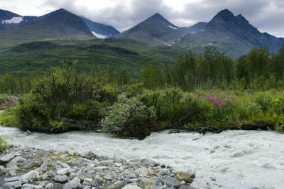 Alep Vássjájågåsj, Sarek National Park