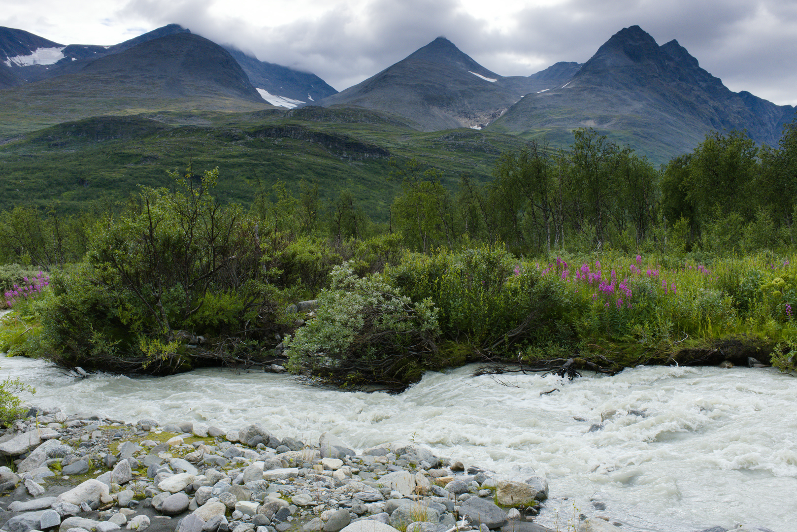 Alep Vássjájågåsj, Sarek National Park