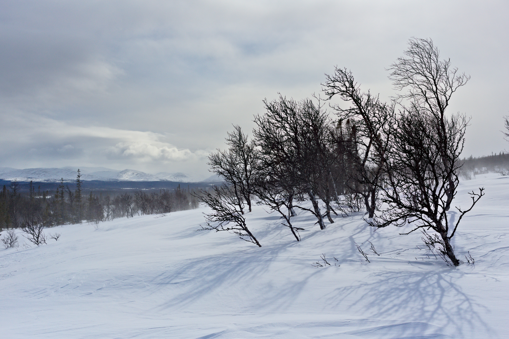 Winter in Vålådalen