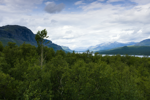 Stigningen upp från Sáltoluokta