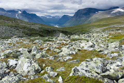 Första glimten av Rapaselet